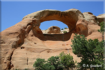 Rainbow Arch